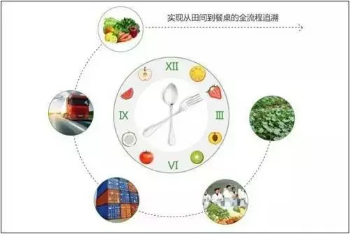 關于質量安全追溯的那點真實現(xiàn)狀